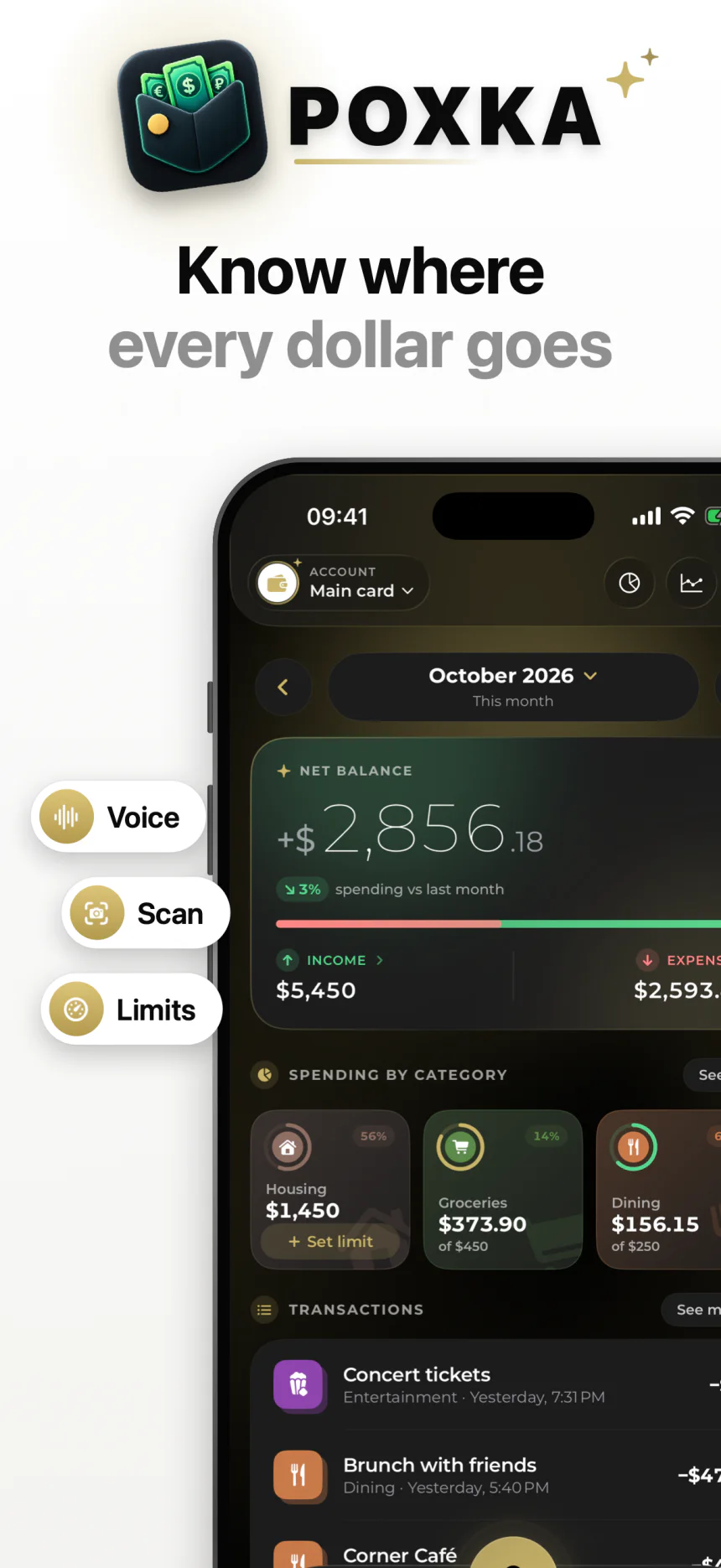 Know where every dollar goes — POXKA dashboard